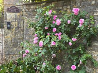 Crudwell House - Crudwell - 8