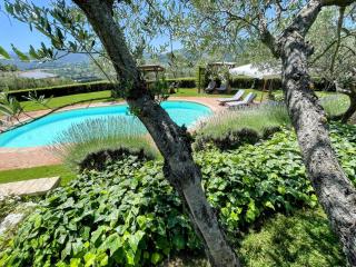 Spoleto Tranquilita sleeps 16 with Wifi Pool Yoga Studio Gardens and Views - 8