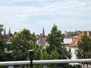 La Maison Bleue de Strasbourg - 9
