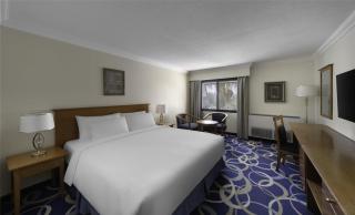 Radisson Blu Hotel, Yanbu - 4