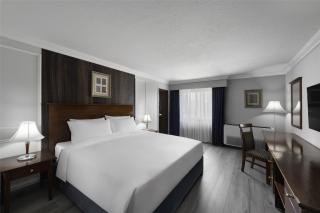 Radisson Blu Hotel, Yanbu - 5
