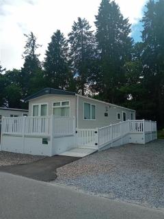 Faskally Woods Holiday Park - Pitlochry - 9