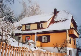 Haus Antonis - Triberg im Schwarzwald - 9