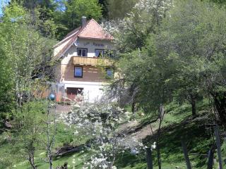 Haus Antonis - Triberg im Schwarzwald - 5