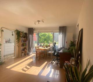 New Dreamy furnished studio, Bonn-Center, August only - Bonn - 0