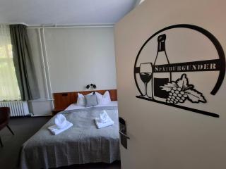 Hotel Burgblick Meißen - 1