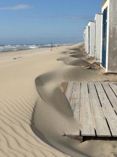 B&B In de duinen - De Koog - 8