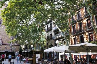Studio Gracia By MyRentalHost - 2