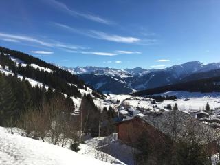 Appartement 2 pièces avec balcon, ski, TV, lave-vaisselle - Les Saisies - FR-1-293-235 - 5