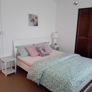 Scola veja - 2