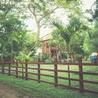 The Monkeys Nest - 8