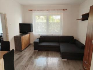 Kranio Apartment - Karlovy Vary - 3