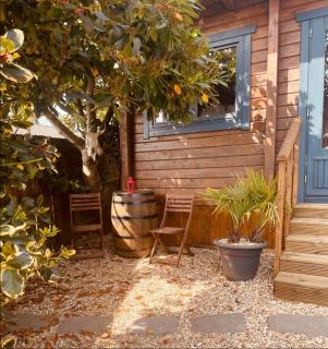 Western style living - Telscombe - 0