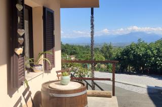 Il cuore dei Foresti - 2