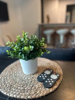 Luxury City Apartment with garden terrace, bm Garden Apartments no2, free parking - 4