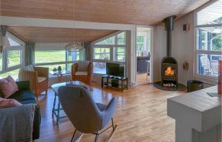 Holiday Home Revlen Iv - Jerup - 4