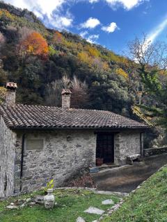 El Molí Masia - Tornafort - 0