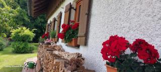 Wohlfühloase nähe Gmunden 5min zum Traunsee Haus mit 2 Schlafzimmer - Größing - 9