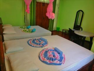 N S K Green Villa - Sigiriya - 4