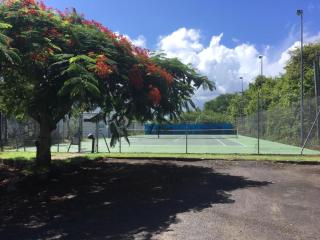 Front beach studio of ilet Gosier - 7