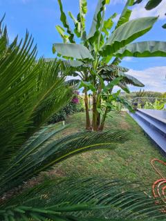 CasaVacanze Nichi vista mare - 2