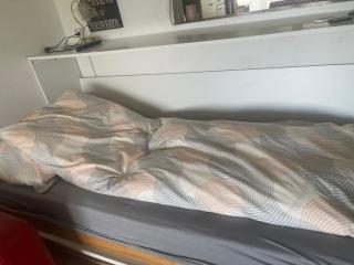 Dearm Vacation home easy to arrive - Spiez - 3