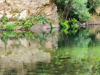 Los Naranjos de Jerte - 8