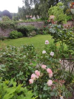 Les agapanthes - Le Bourg-Dun - 4
