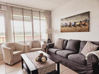 Westwing 79 Ameland für bis zu 6 Personen, nach Westen augerichtet, strandnah, Haustiere herzlich willkommen - Buren - 8
