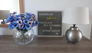 Inselglück 89 Ameland für bis zu 4 Personen - Haustiere herzlich willkommen, strandnah - Buren - 9