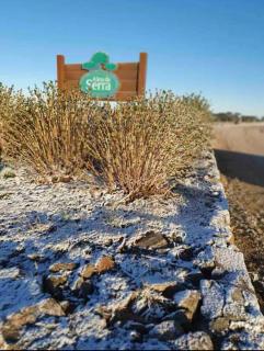 Casa do Vinho no Altos da Serra - 9