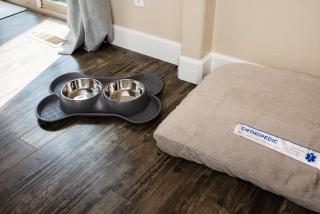 Pet-Friendly - Bend Sanctuary for 6 - 2