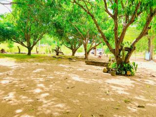 New Eagles Wings Resort - Habarana - 4