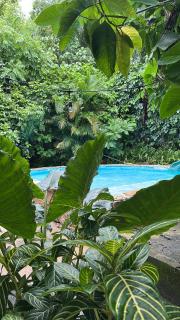 Quinta mi tata Cabin - Loma de Buey - 5