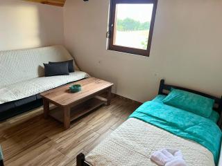 Highlander's Nest - Šavnik - 6