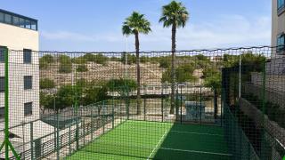 Pettit paraiso - 6