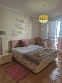Apartamentos Arrifes 1 - Porto Santo - 0