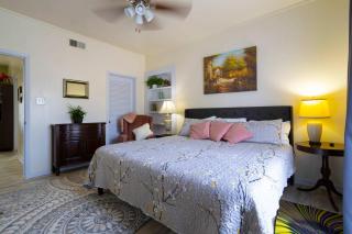 Mariposa Buckeye - Retreat for 2 - Kerrville - 3