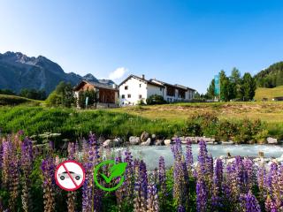 Hotel Chesa Pool - Sils im Engadin - 0