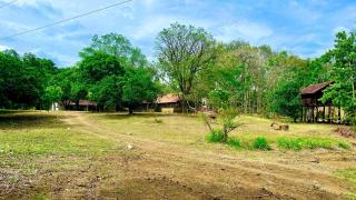 New Eagles Wings Resort - Habarana - 3