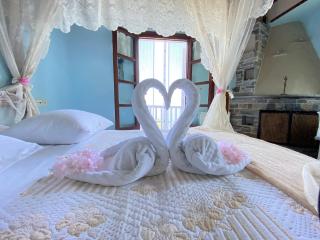 Diogenis Hotel - Tsagkarada - 9