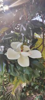 Entire home Private swim pool Quiet area - 7