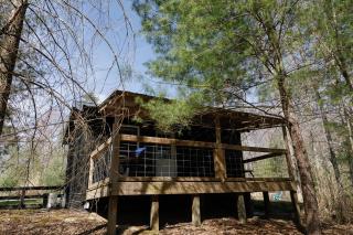 "Stars Hollow" Cozy Mini-Cabin in Muir Valley -RRG - 4