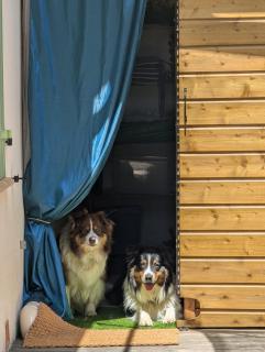 chalet proche de la mer - La Crau - 6