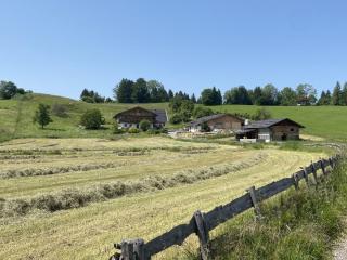 Langegger Alm - Almhütte - Bernbeuren - 7