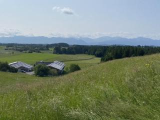 Langegger Alm - Almhütte - Bernbeuren - 6