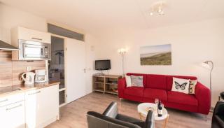 Waddenzicht 71 Ameland - tolle FerienwWohnung mit großer Dachterrasse für bis zu 4 Personen - Haustiere herzlich willkommen, strandnah - Buren - 6