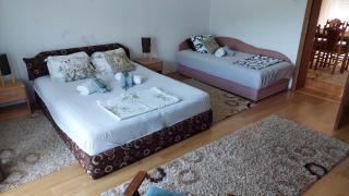 Apartman Nađa - Banja Koviljača - 9