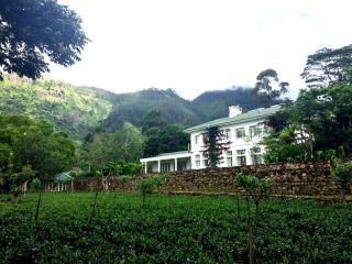 The Planters House - 8