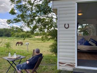 tiny house an der Pferdekoppel - 9